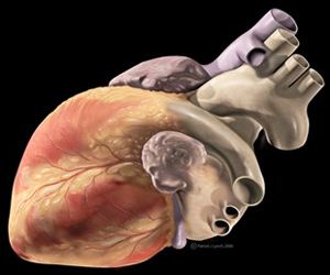Doenças cardiovasculares