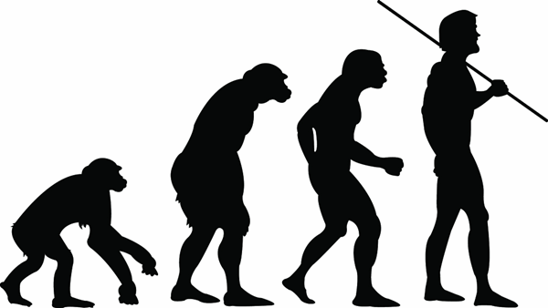 Evolução humana