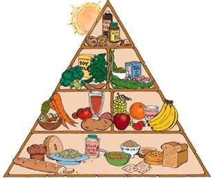 Pirâmide alimentar
