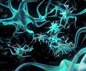 Serotonina